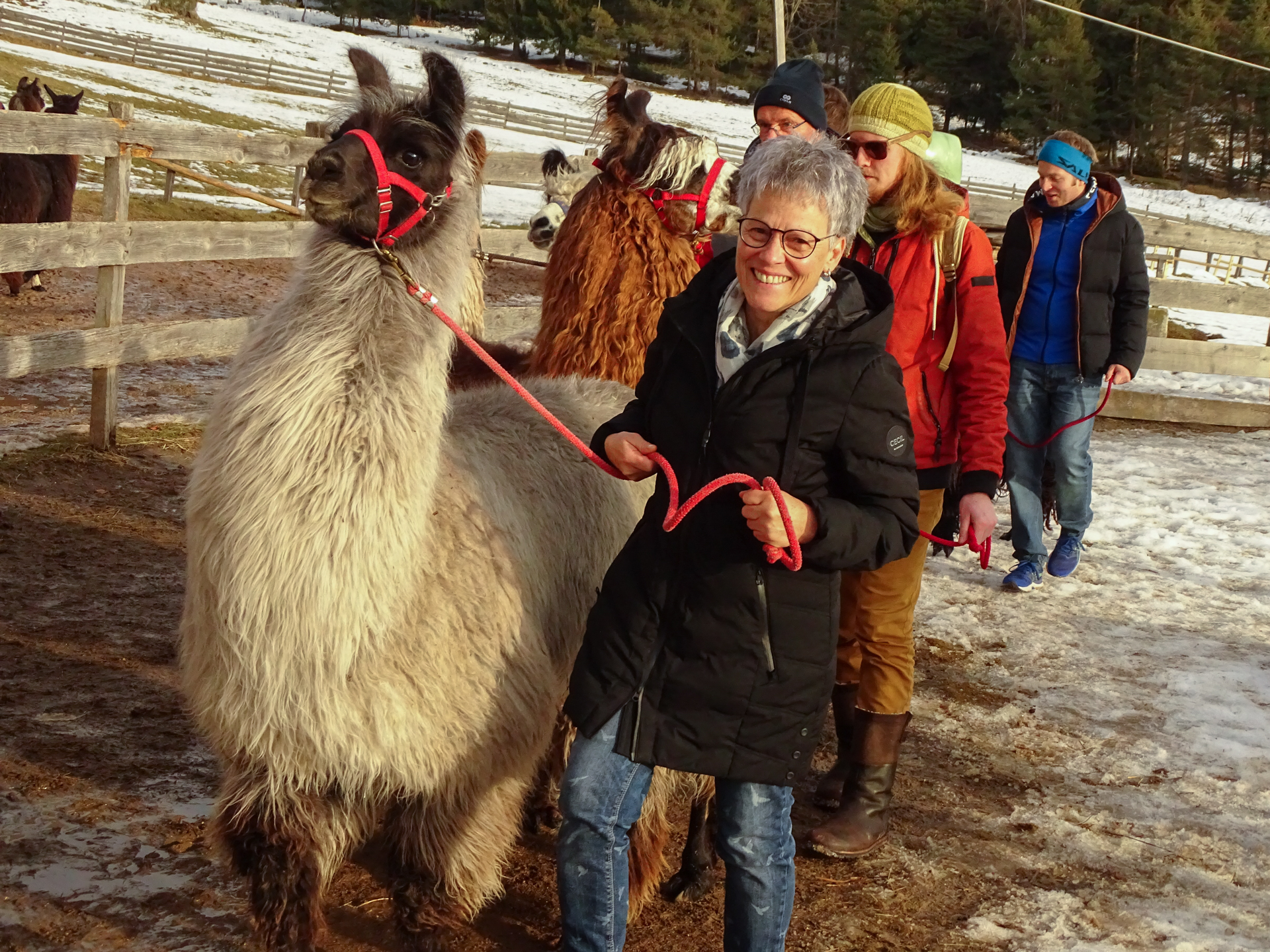 Einige Teilnehmer beim Ausflug zu den Lamas 002