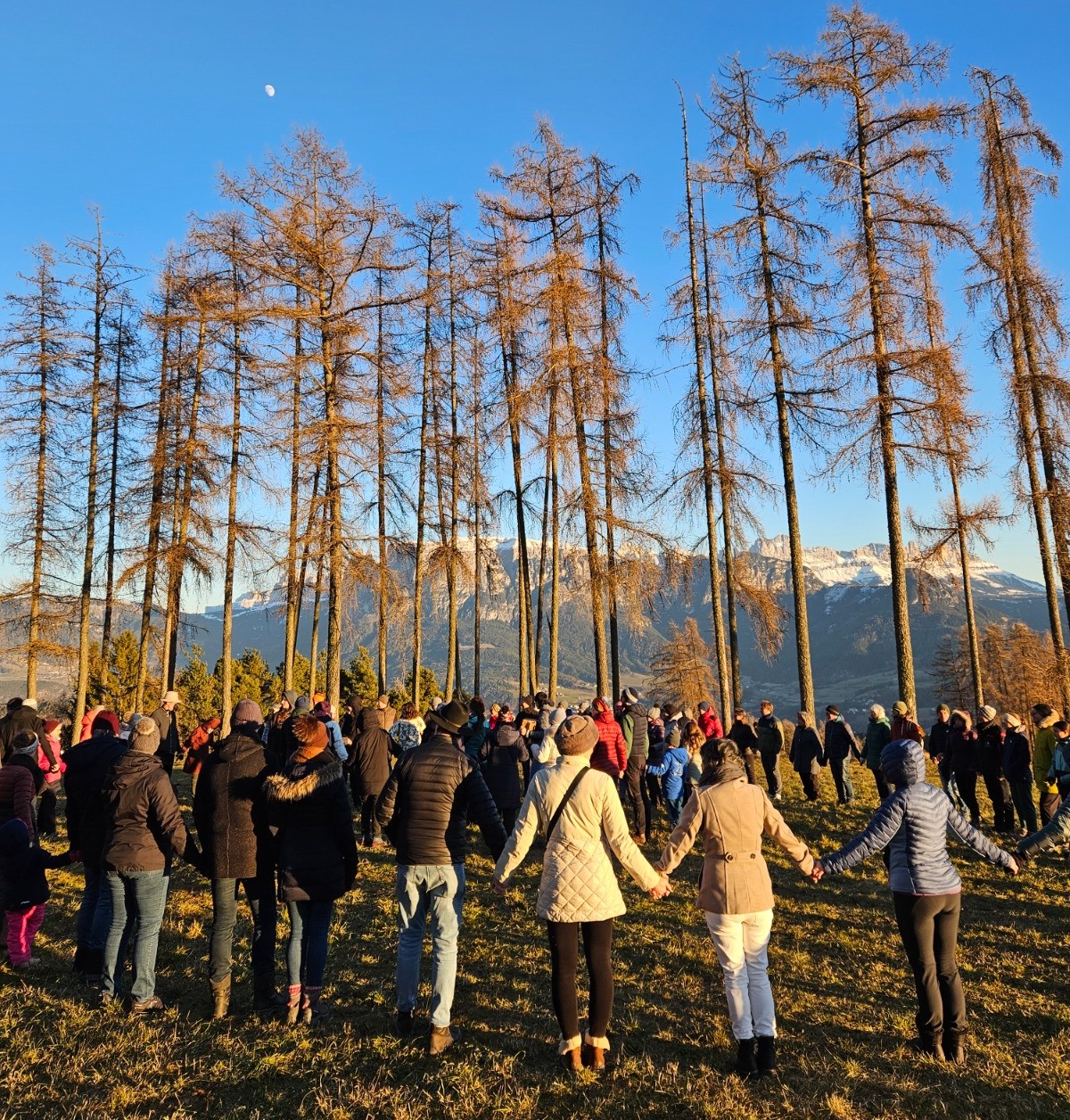 WhatsApp Image 2026 01 05 at 11.17.45